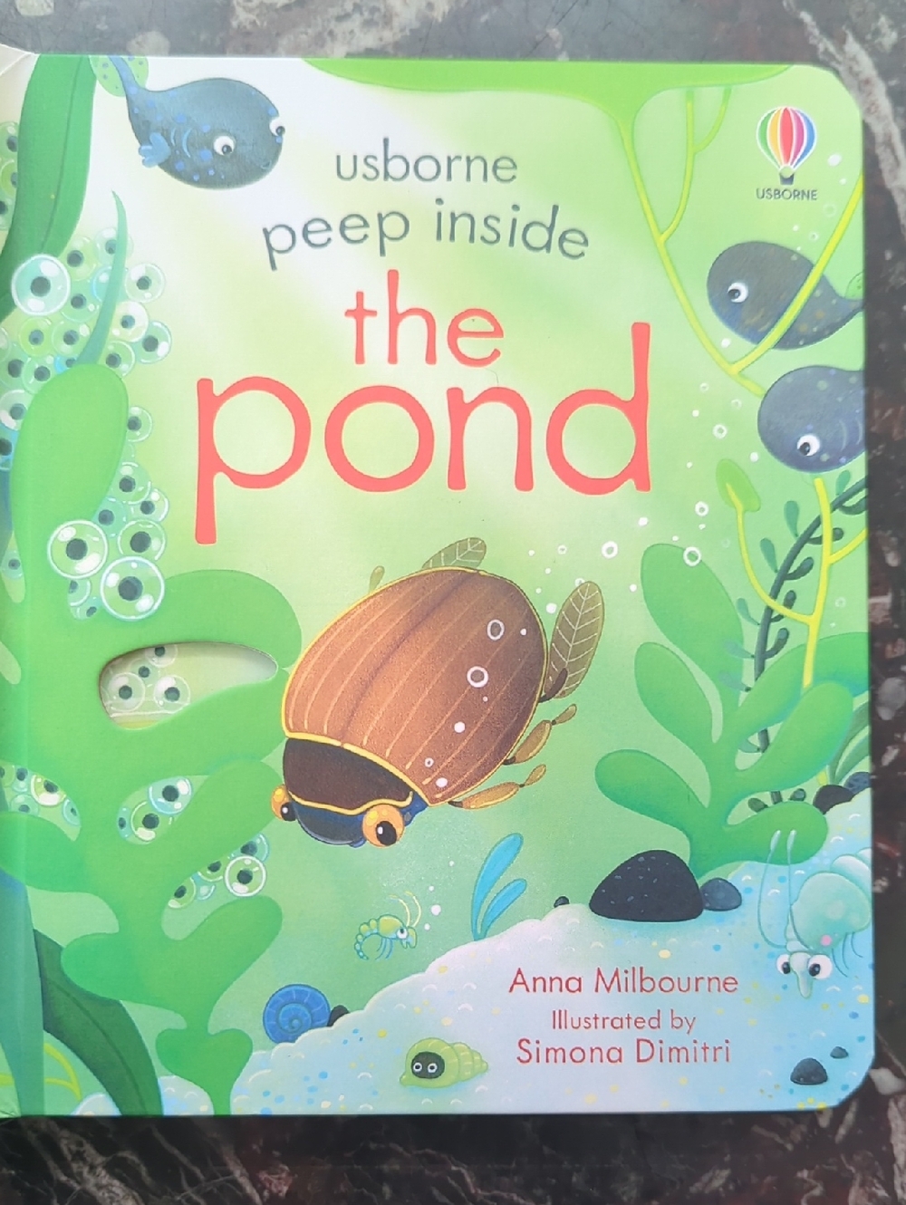 Usborne Peep Inside The Pond - Green Kids Learning Book